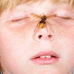 Опасность укусов насекомых
