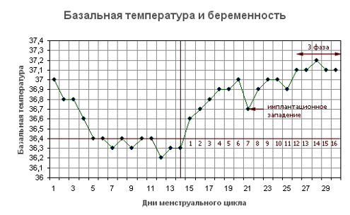 График базальной температуры при беременности